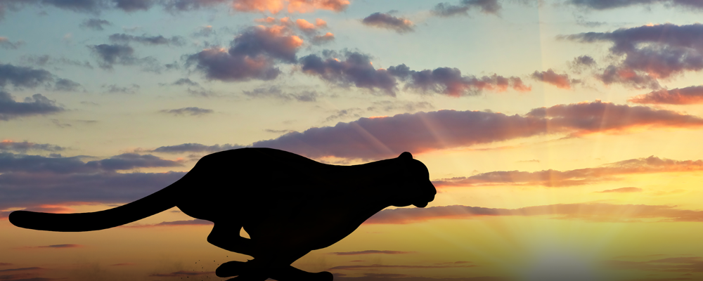 Header background image