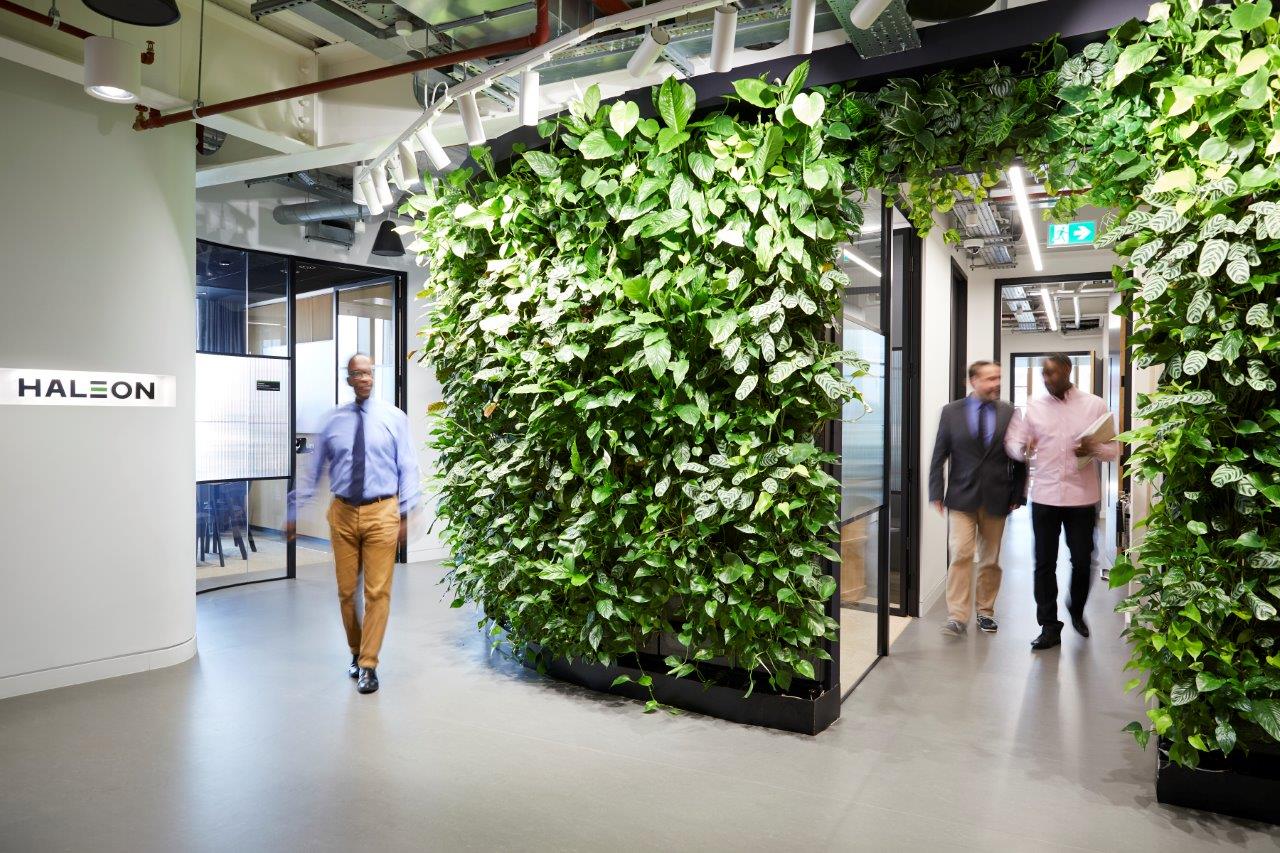 Haleon Enable Sustainability with Instant Managed Office